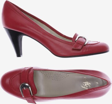 Atelier Goldner Schnitt Pumps 40 in Rot: predná strana