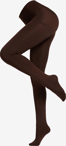 CALZEDONIA Tights 'thermo' in Brown: front