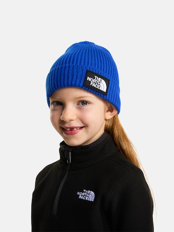 THE NORTH FACE Čiapky - Modrá: predná strana