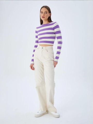 MixRay - Pullover em roxo