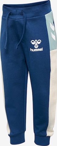 Hummel Regular Sportbroek in Blauw