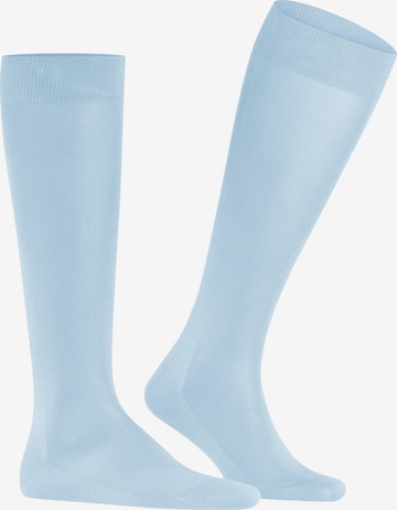 FALKE Knee High Socks 'Tiago' in Blue: front