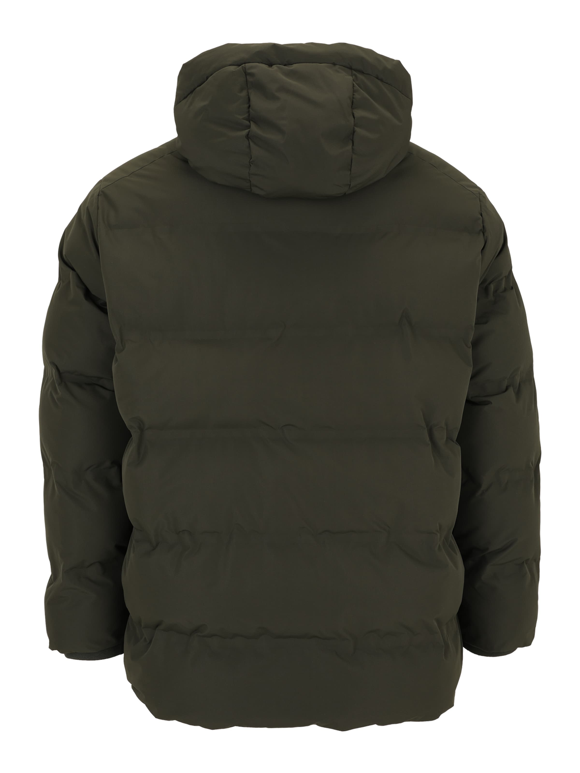 Jack & Jones Plus Winter jacket 'JJESOHO' in Green