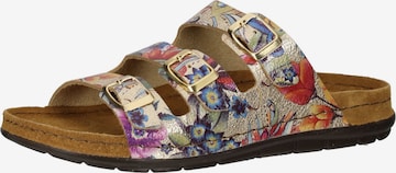 Mule ROHDE en or : devant