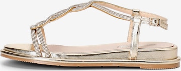 Sandalo di CAFè NOIR in oro: frontale