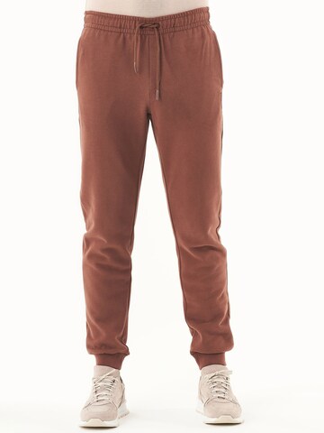 Organication Tapered Pants in Brown: front