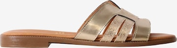 The Divine Factory Sandale in Gold: Vorderseite