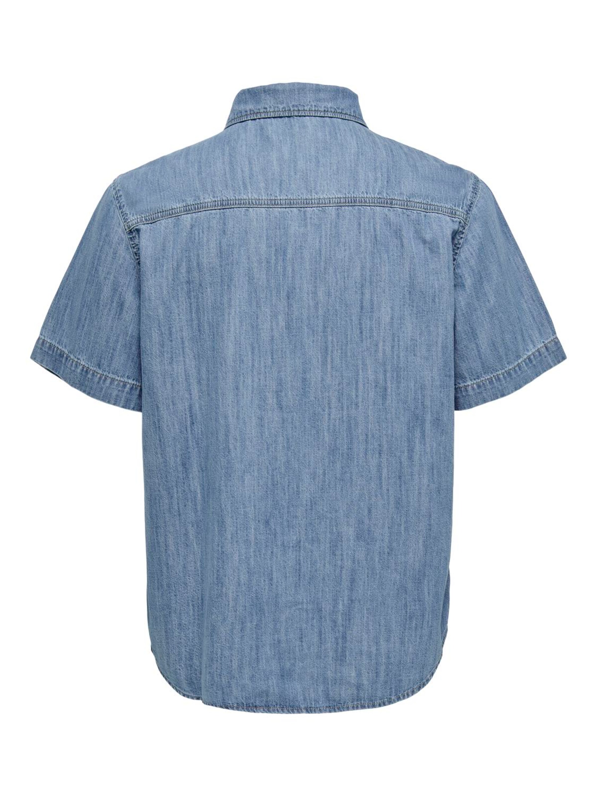 Only & Sons Regular fit Overhemd 'STEEN' in Blauw
