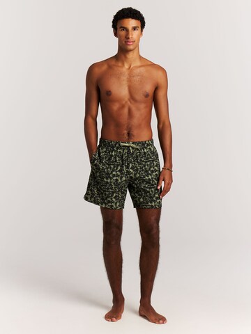 PROTEST Badeshorts 'PRTOwston'‌‌‌‌‌‌ in Grün