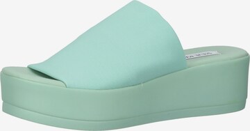 STEVE MADDEN Pantolette in Grün: predná strana