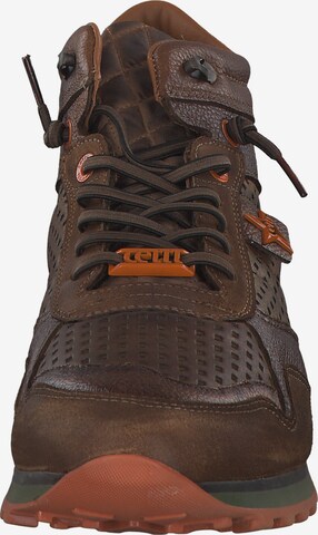 Cetti Sneakers hoog in Bruin