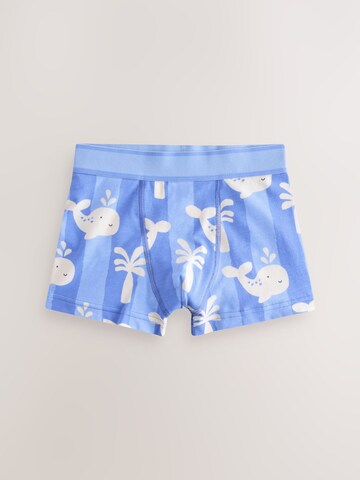 Next Underpants in Mixed colors