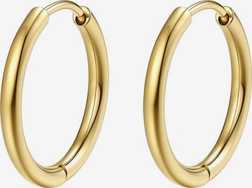 Hey Happiness Earrings 'Luna' in Gold: front