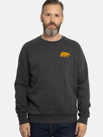 FORSBERG Sweatshirt 'mit Frottee Logo' in Grey