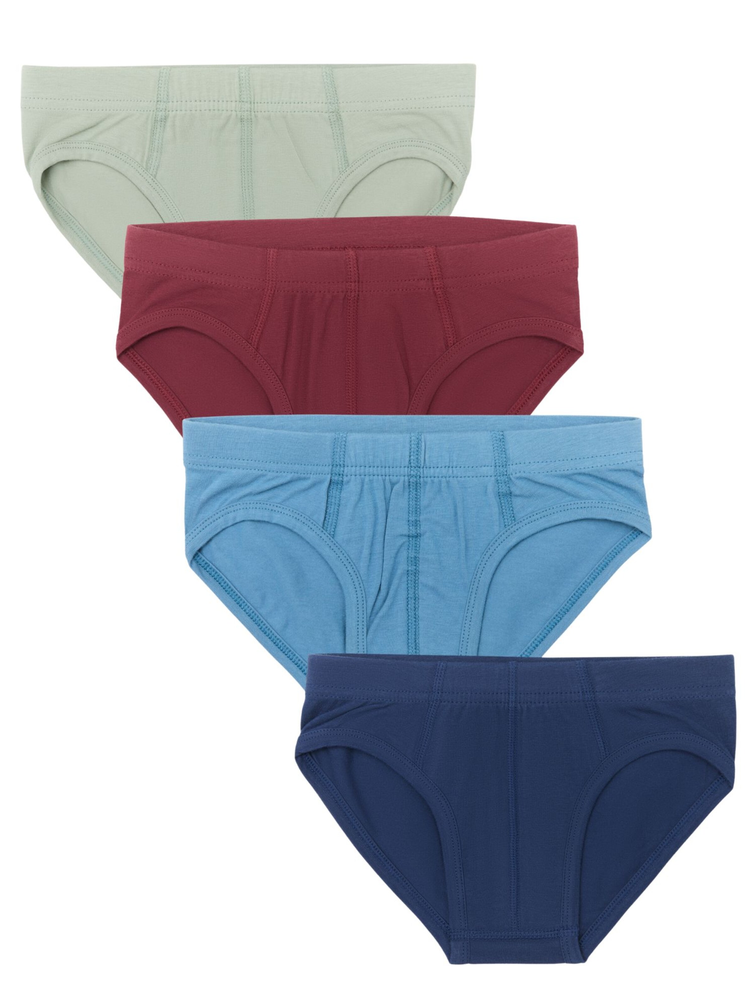 Albero Natur Underpants '4er-Pack' in Mixed colors: front