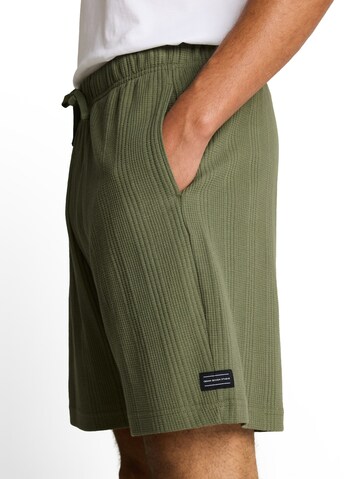 TOM TAILOR DENIM Regular Hose in Grün