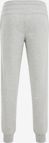 Effilé Pantalon WE Fashion en gris