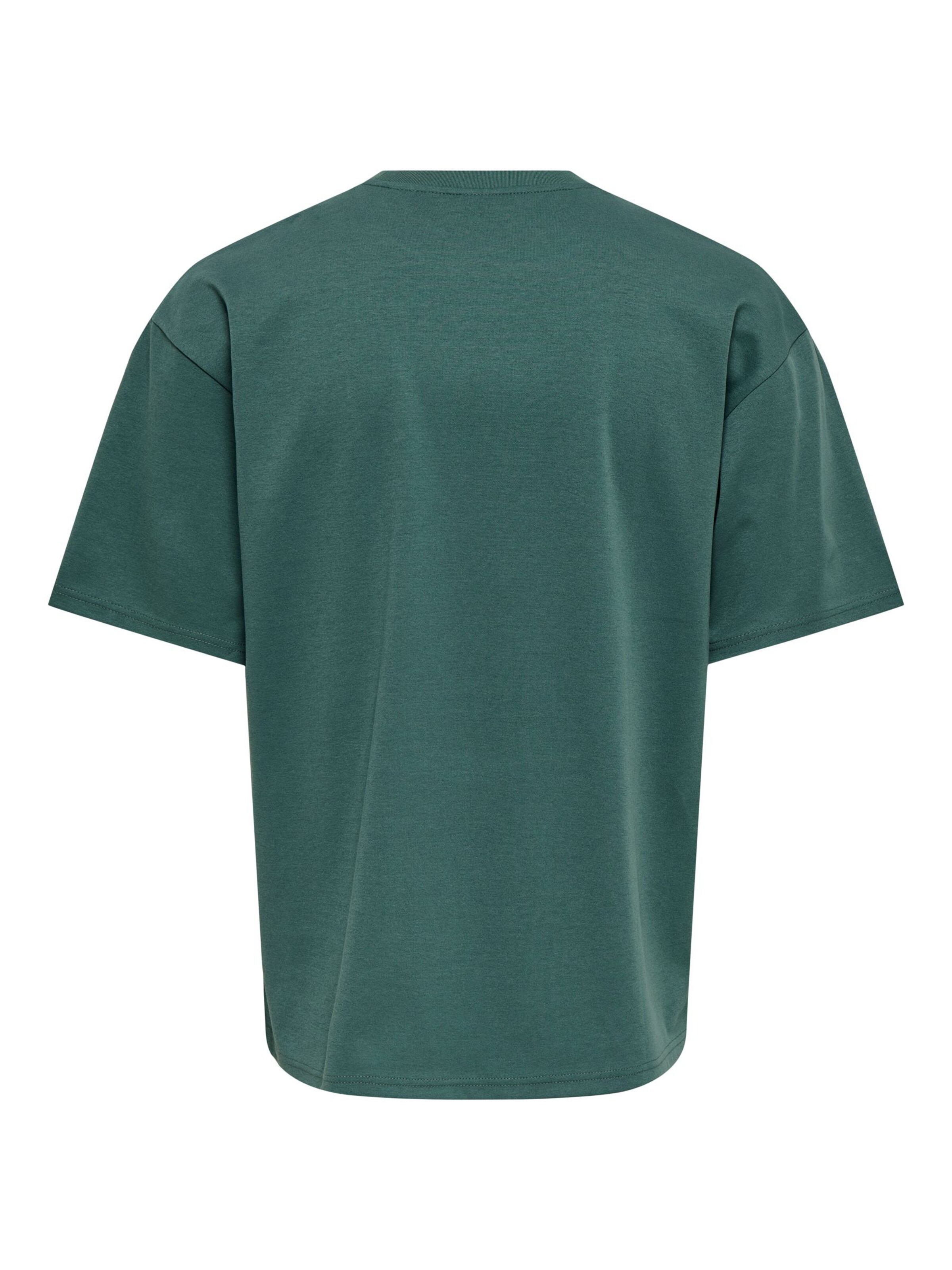 Only & Sons Bluser & t-shirts 'ONSCaspian' i grå