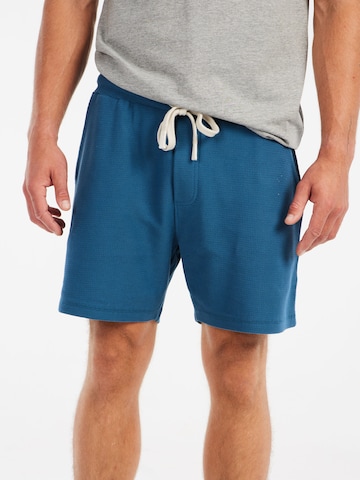 PROTEST Regular Pants 'PRTGraig' in Blue