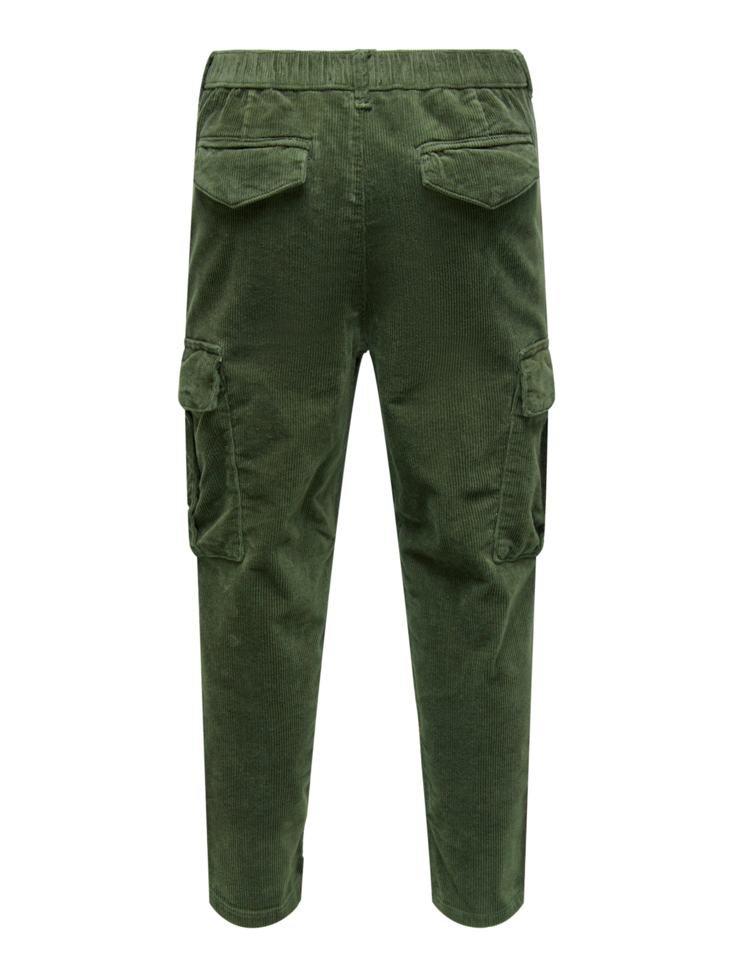 Regular Pantalon cargo 'Dew' Only & Sons en vert