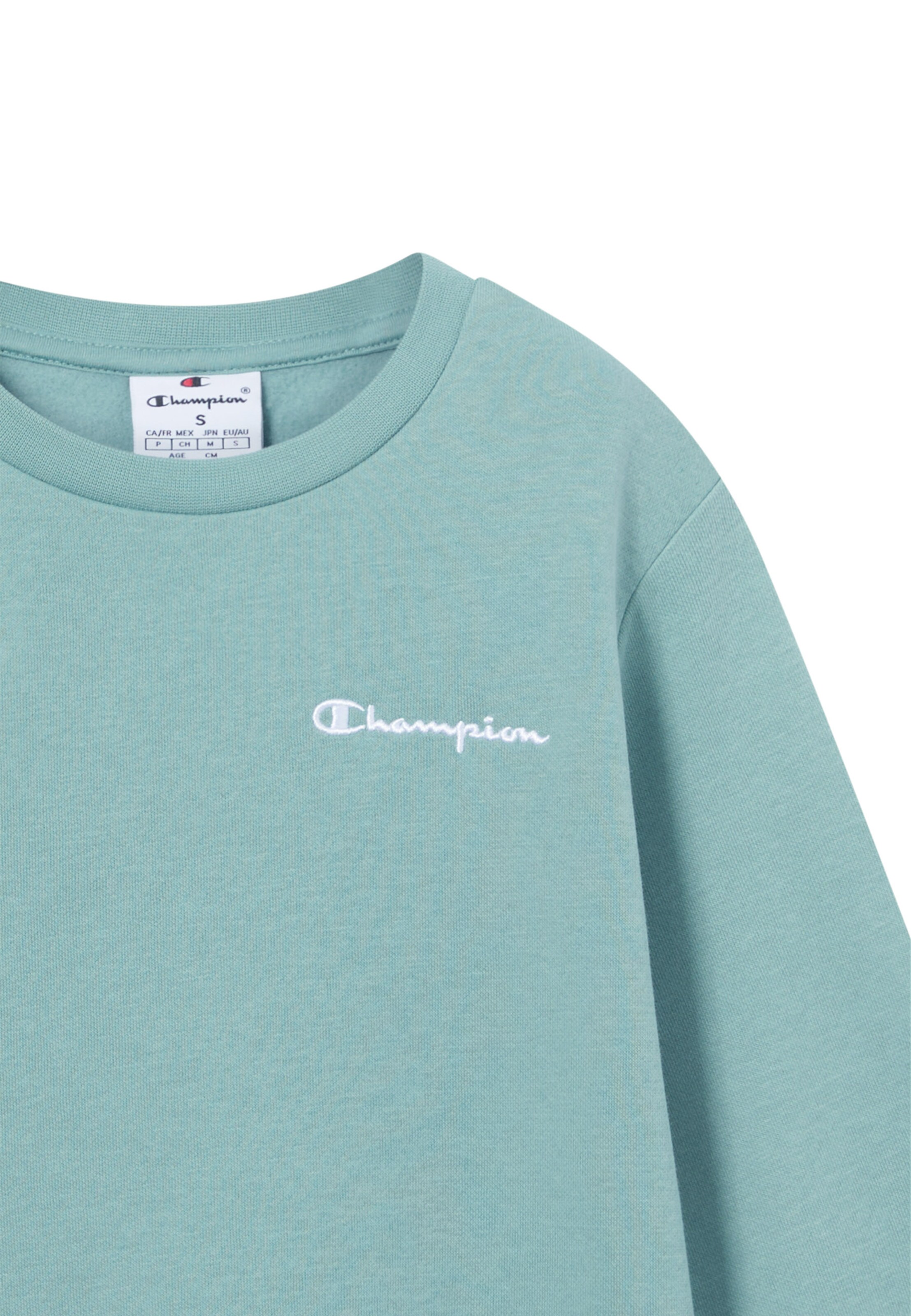 Champion Authentic Athletic Apparel Sweatshirt in Green