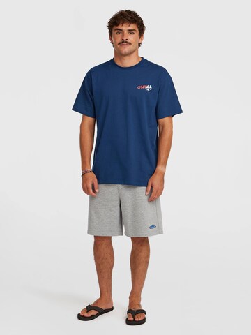 O'NEILL Loose fit Pants 'Essentials' in Grey