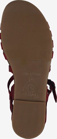 COSMOS COMFORT Sandalen met riem in Rood