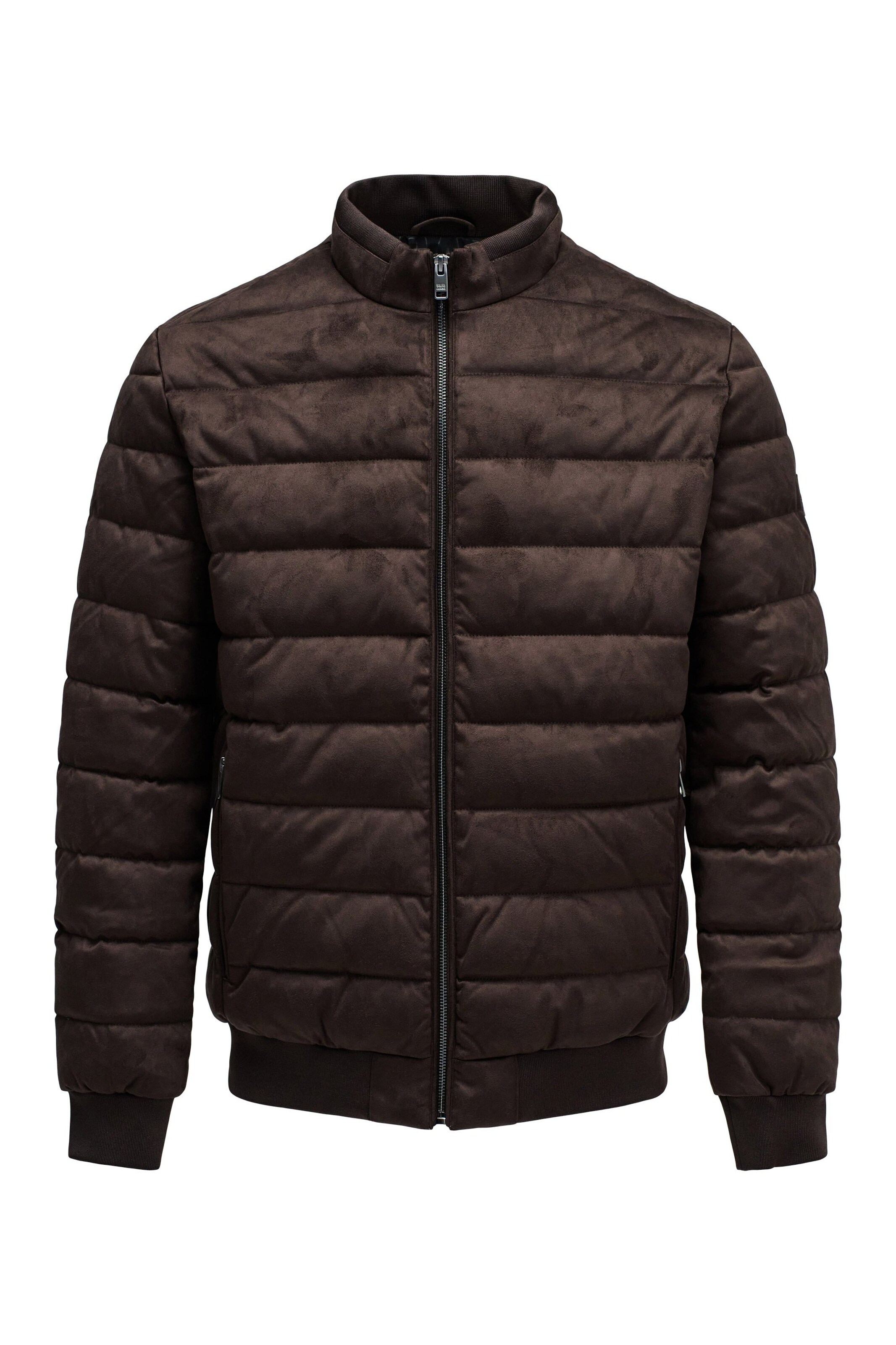 Salsa Jeans Winterjas in Bruin: voorkant