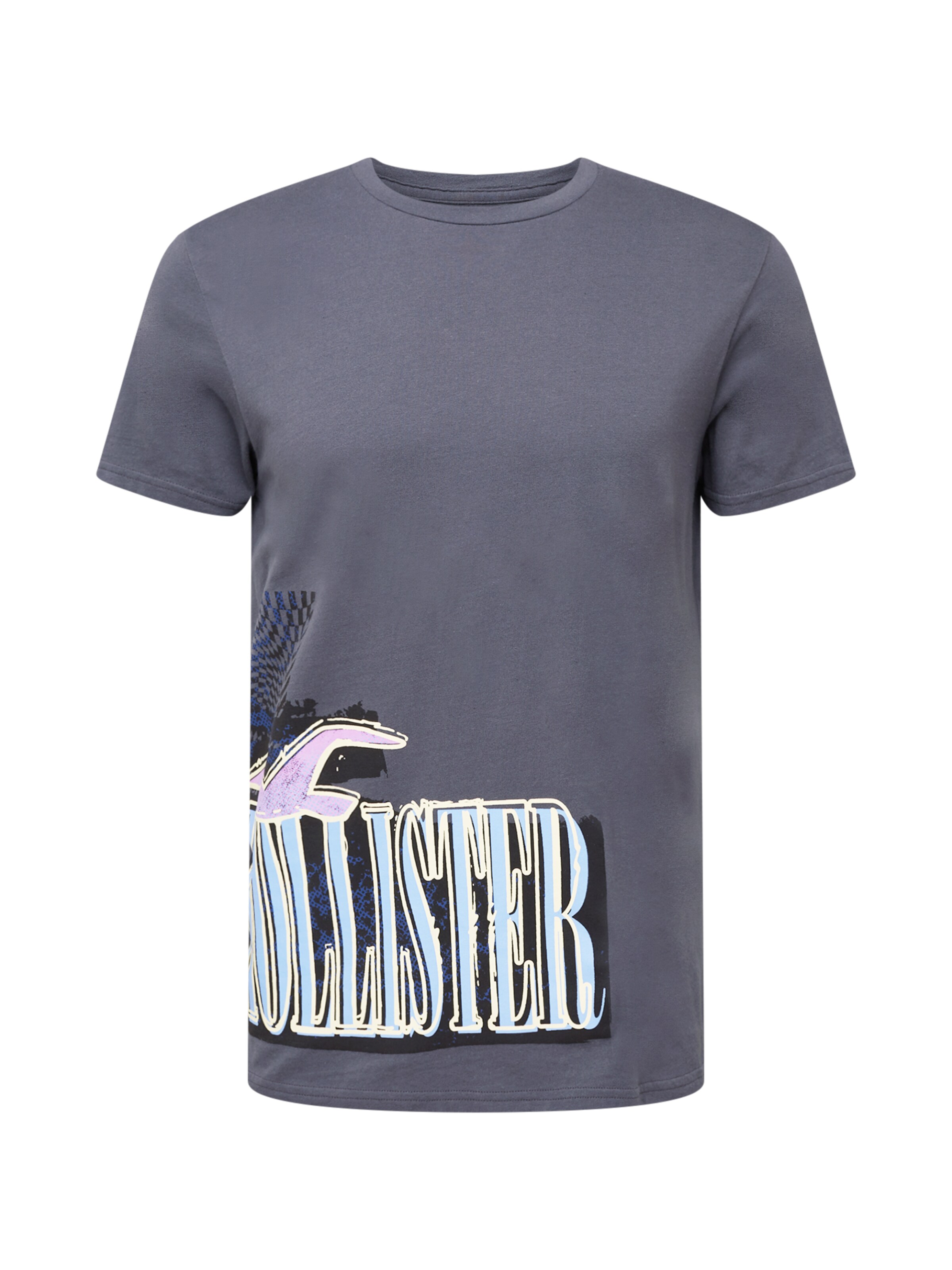 Männer Shirts HOLLISTER T-Shirt in Grau - SR14900 Männer Shirts HOLLISTER T-Shirt in Grau - SR14900