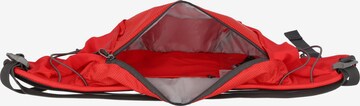 Sacs banane de sport SALEWA en rouge