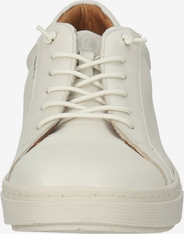 Baskets basses HUSH PUPPIES en blanc