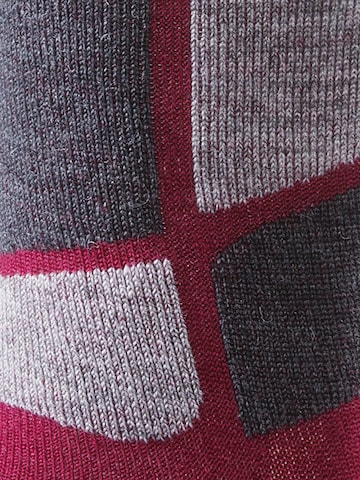 Whistler Sportsocken 'Corinth' in Mischfarben