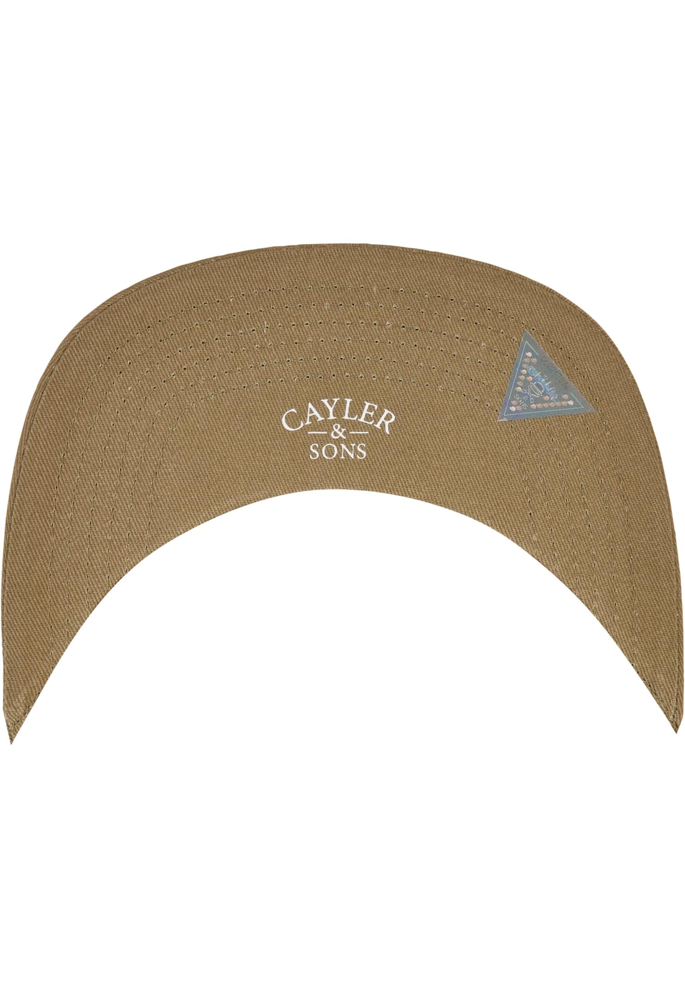 Cayler & Sons Pet in Groen