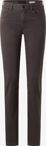 Angels Chino Pants 'Cici' in Brown: front