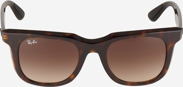 Ray-Ban Zonnebril '0RB4368' in Bruin