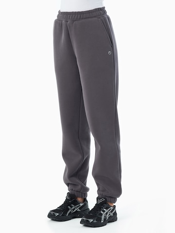 Organication Tapered Pants in Grey