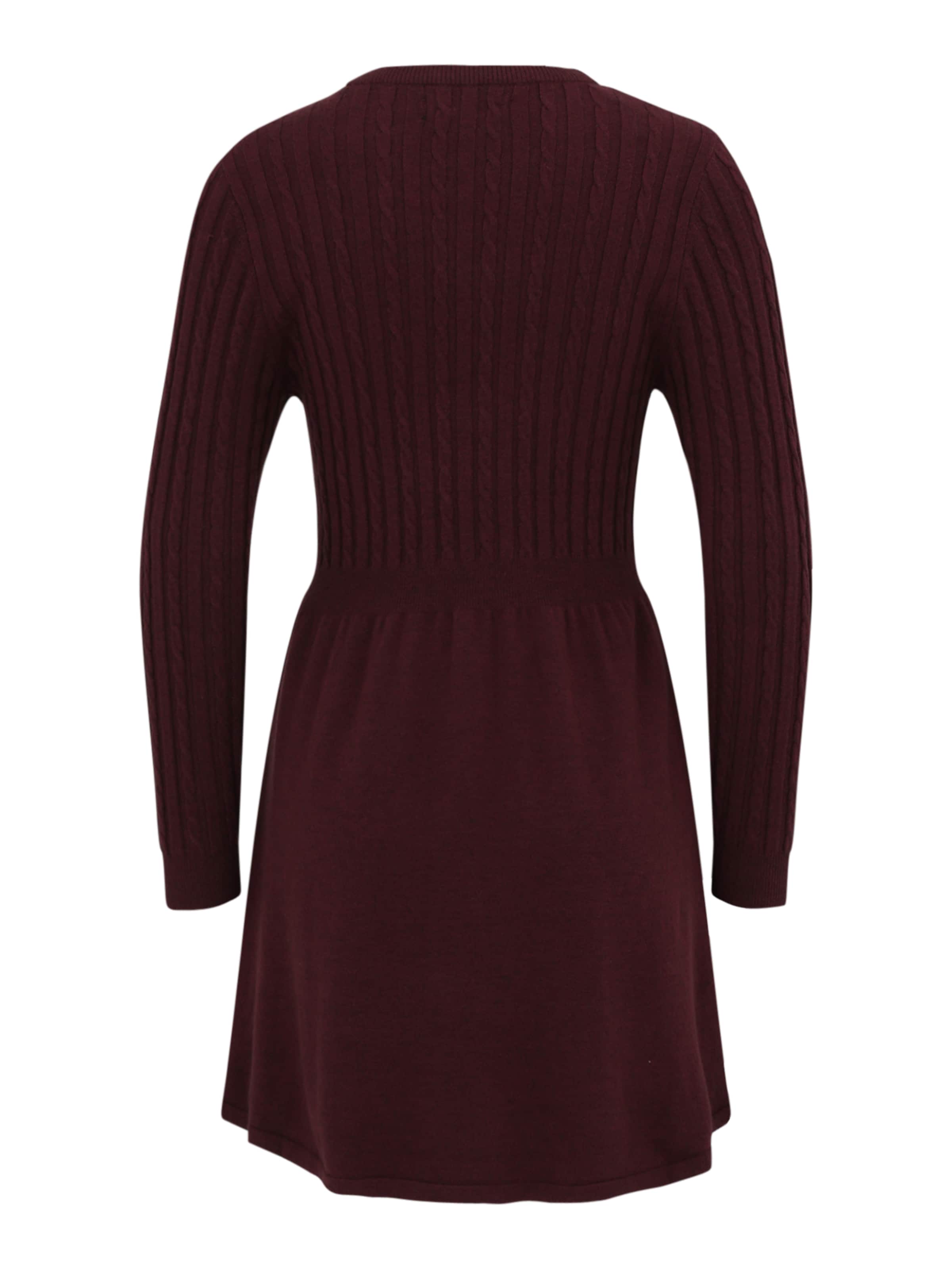 Only Petite Knit dress 'ONLFIA' in Red