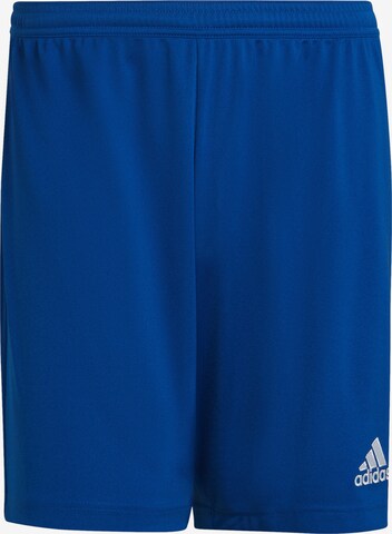 ADIDAS SPORTSWEAR Workout Pants 'Entrada 22' in Blue: front