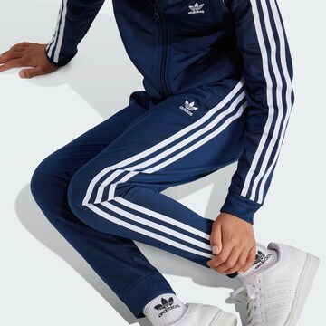 ADIDAS ORIGINALS Конический (Tapered) Штаны 'Adicolor' в Синий