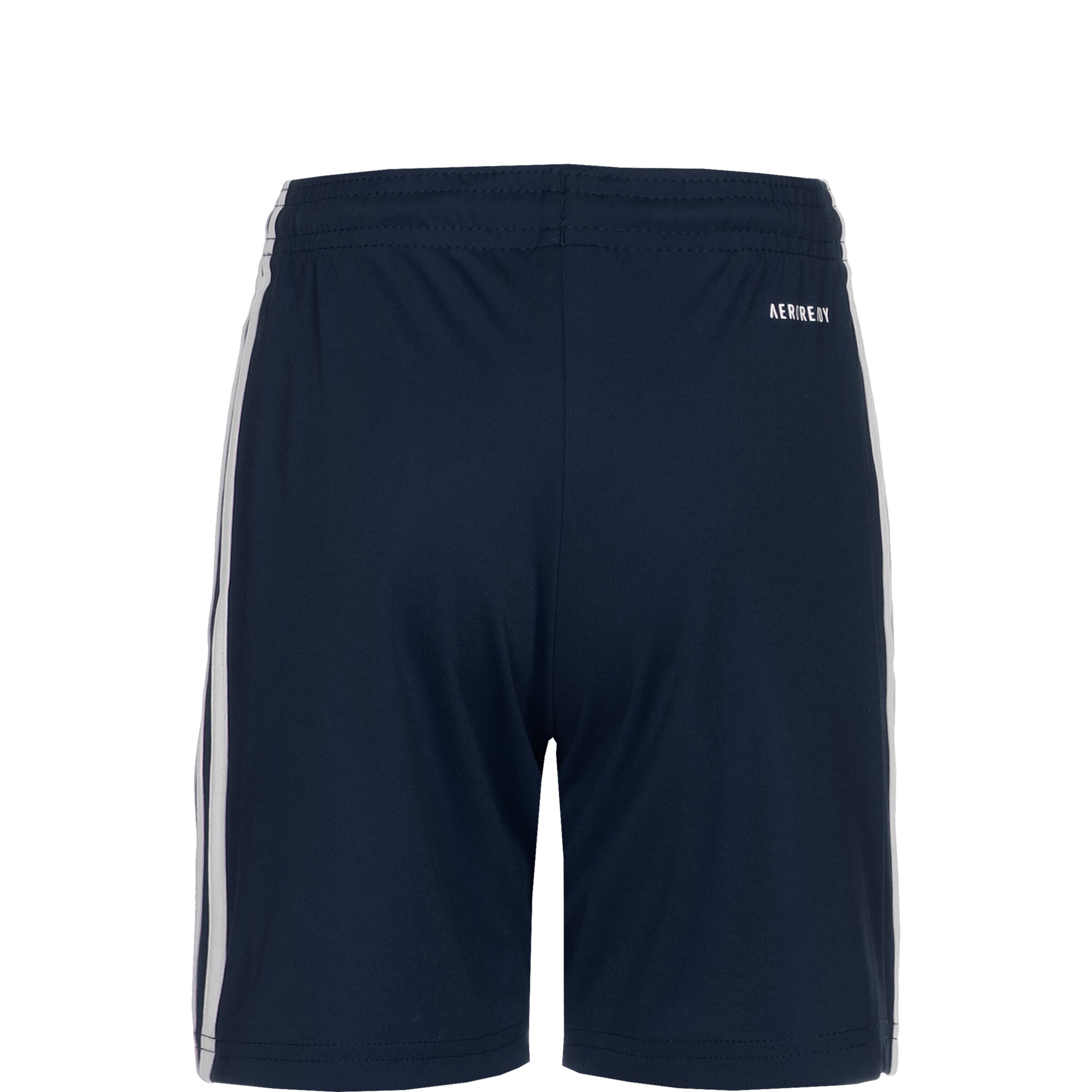ADIDAS PERFORMANCE Regular Workout Pants 'Squadra 21' in Blue