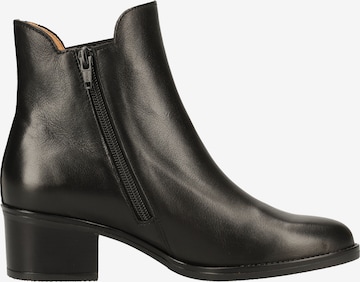 GABOR Chelsea Boots in Black