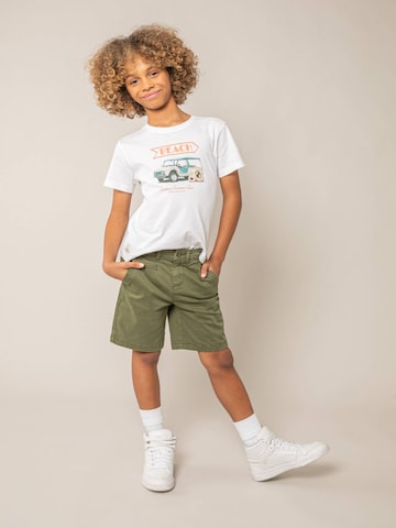 Regular Pantalon Deeluxe en vert