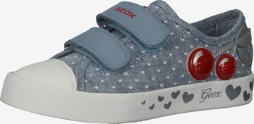 GEOX Sneaker in Blau: front