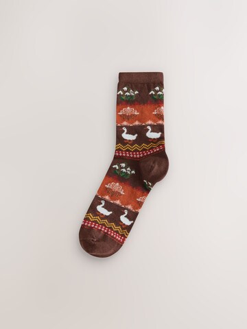 Chaussettes Next en multicouleur