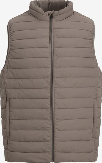 JACK & JONES Bodywarmer in de kleur Beige, Productweergave