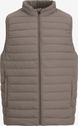 JACK & JONES Bodywarmer in Beige: voorkant