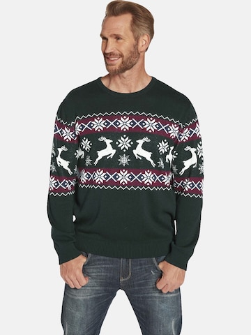 Jan Vanderstorm Sweater 'Tore' in Green: front