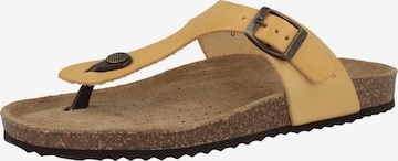 GEOX T-Bar Sandals ' Brionia ' in Yellow: front