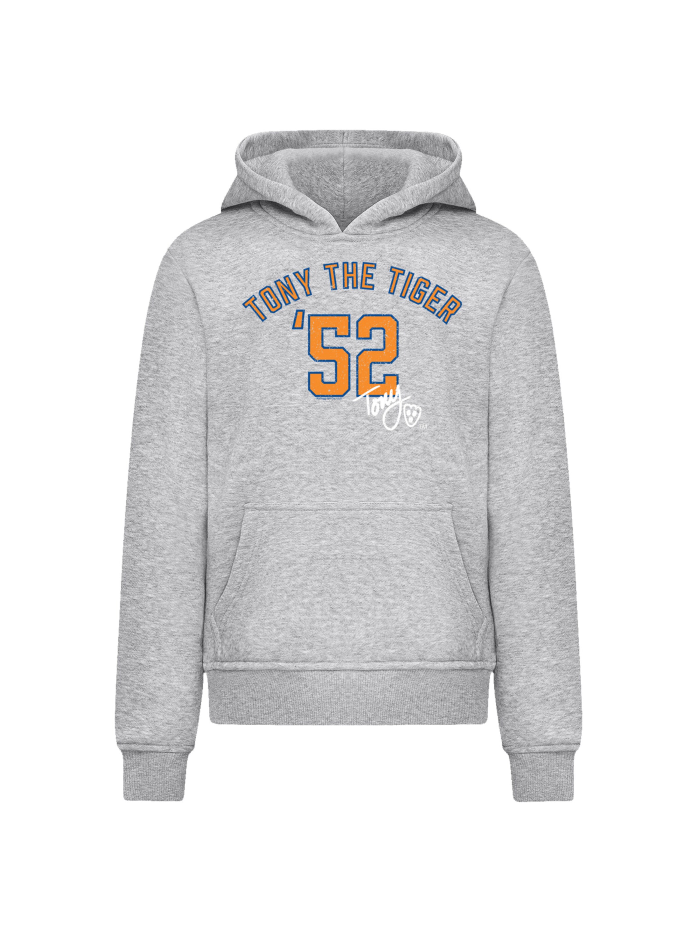 F4NT4STIC Hoodie in Grau: Vorderseite