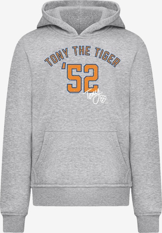 Pull-over F4NT4STIC en gris : devant